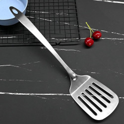 Stainless Steel Spoon